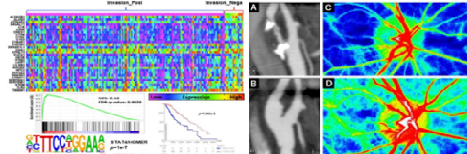 アカデミックに触れろ