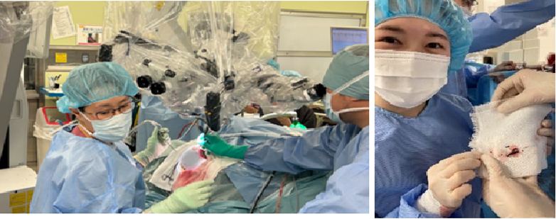 女性も大活躍する科です