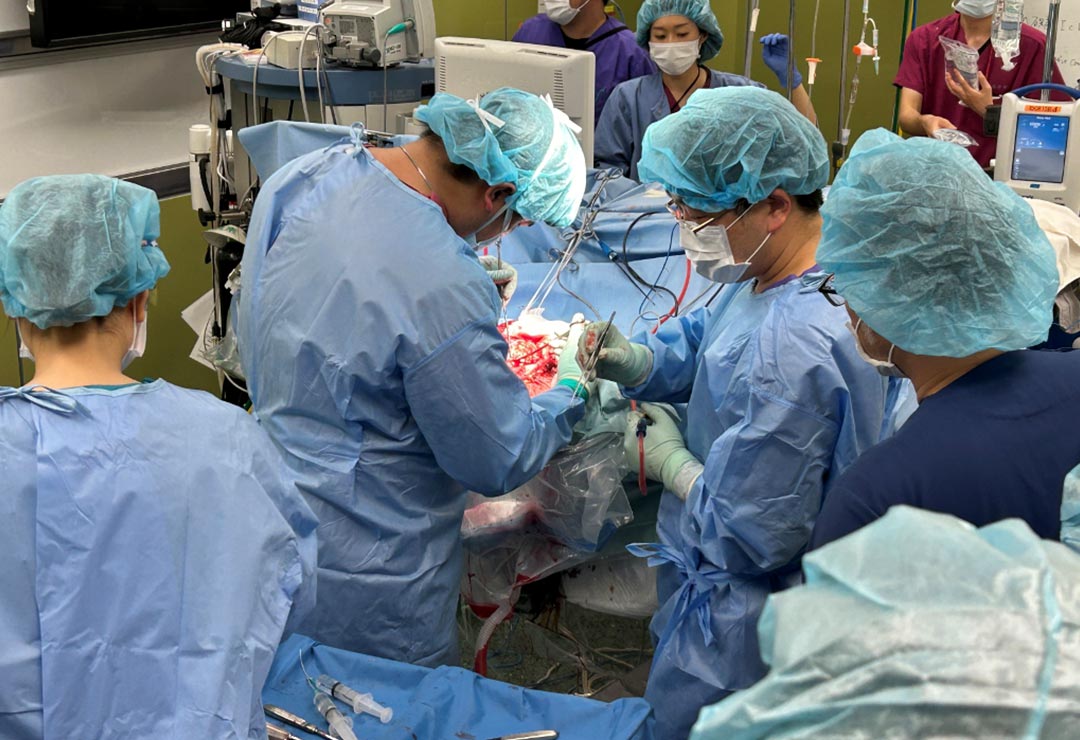 研修プログラム